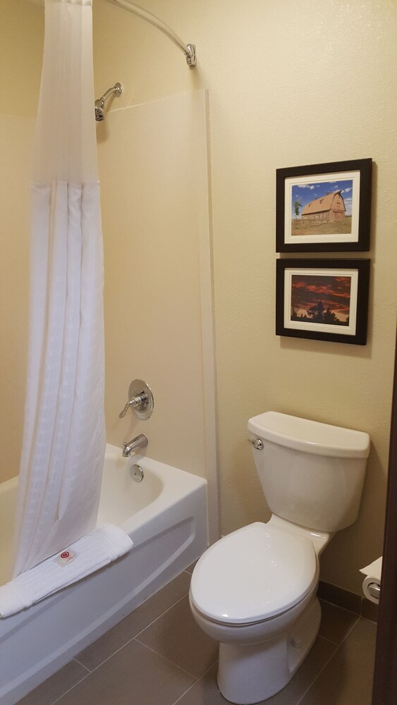 Comfort Inn & Suites Near University of Wyoming - photo 27