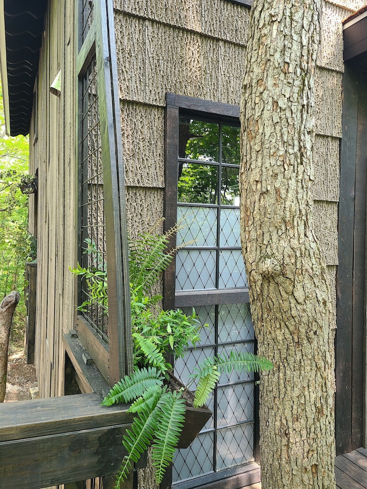 The Treetop Hideaways at Ruby Falls - photo 92