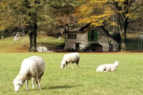 Rustico Lucia in Unknown City, Switzerland