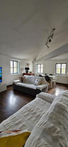 La Robine in Narbonne, France