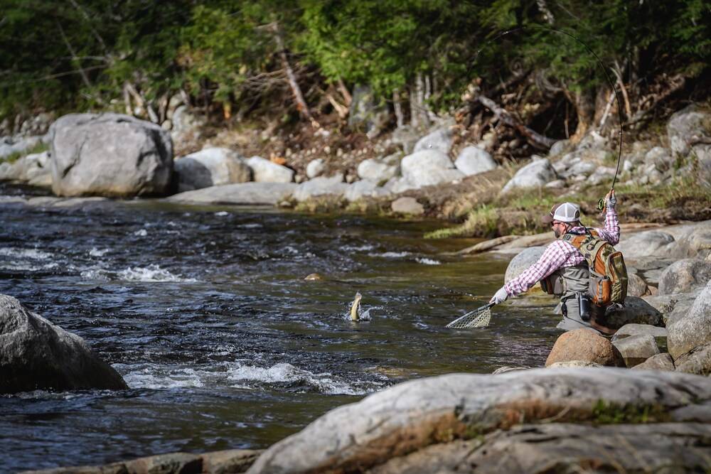 The Hungry Trout - photo 30