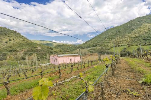 Podere Is Tres Fradis — hotel in Jerzu