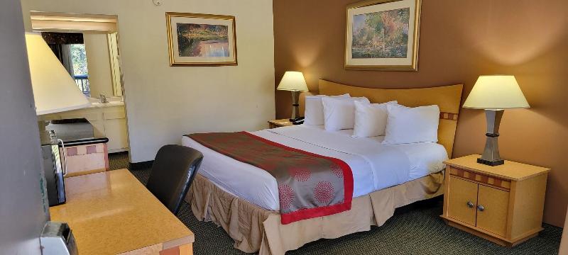 Ramada by Wyndham & Suites Warner Robins - photo 28