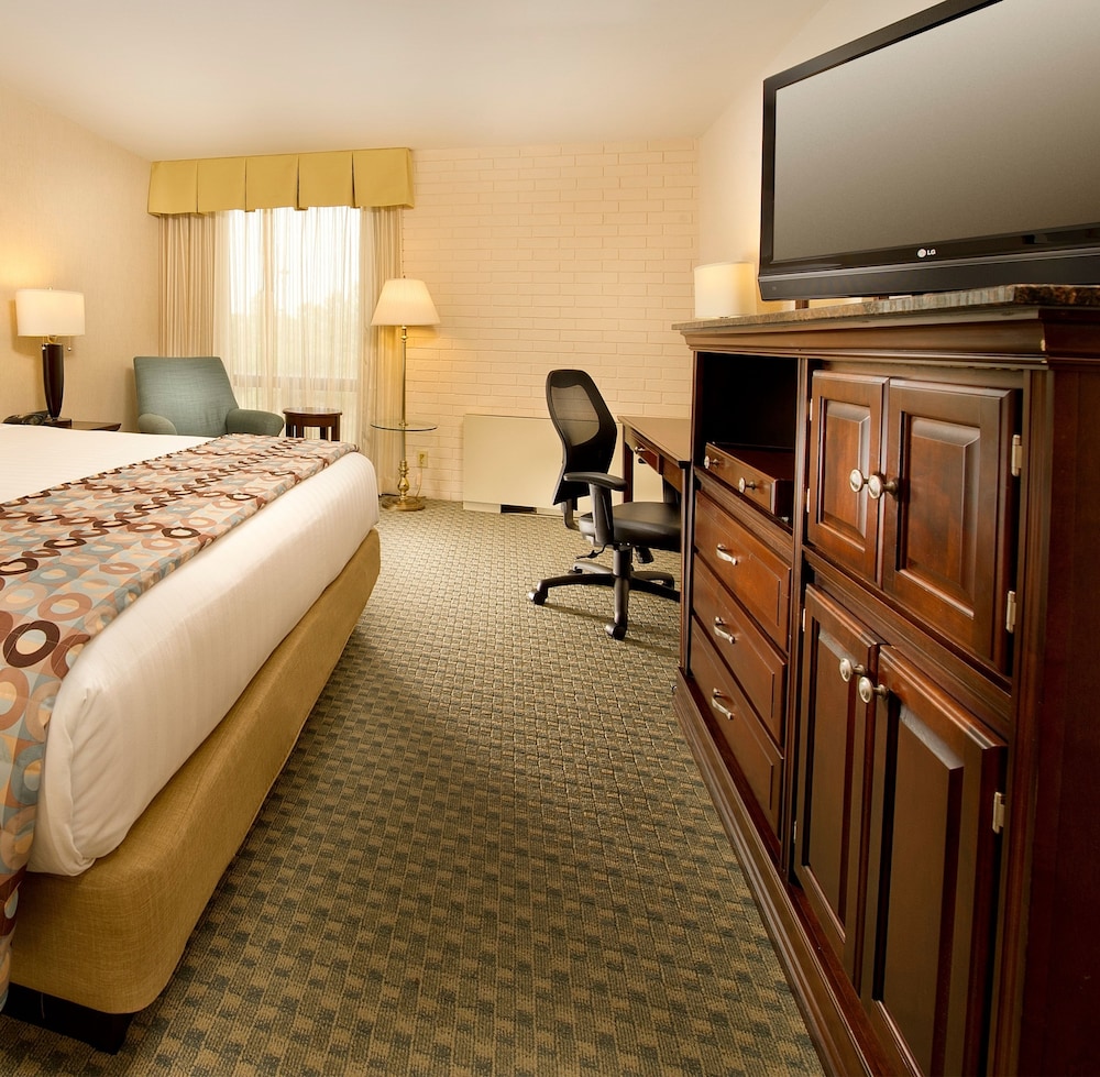 Hotel Lotus - photo 5