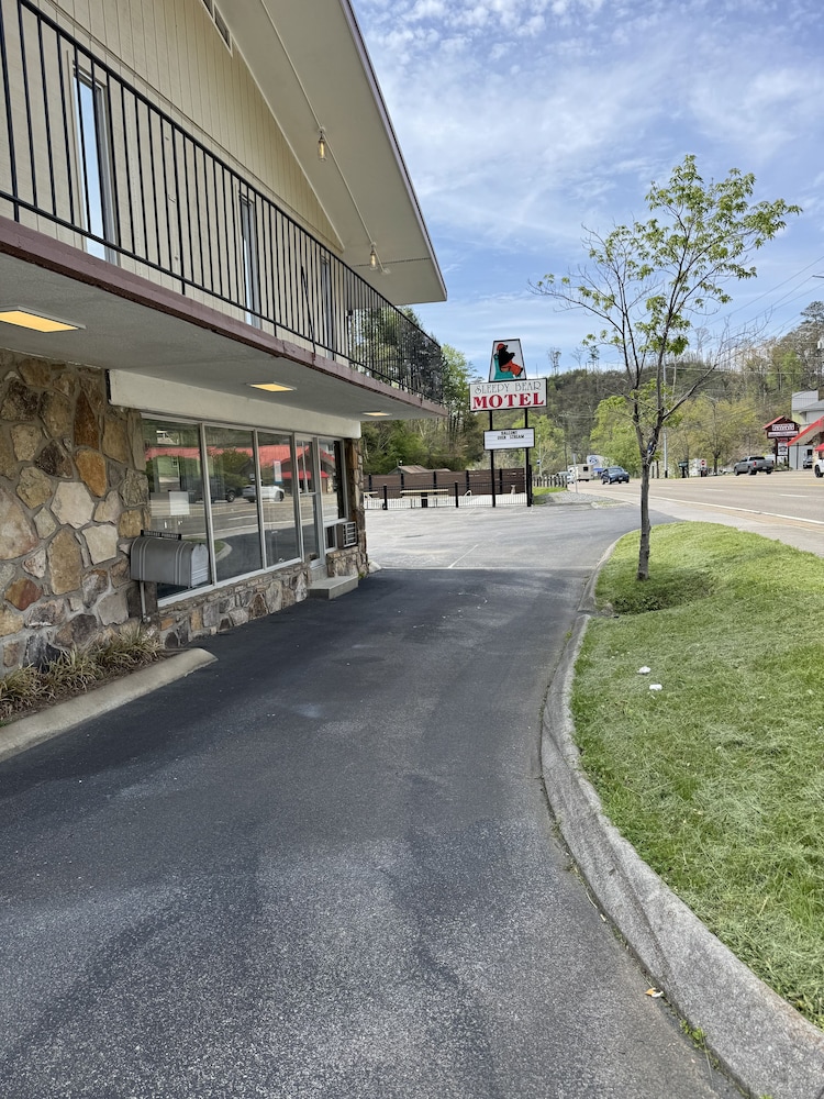 Sleepy Bear Motel - photo 16