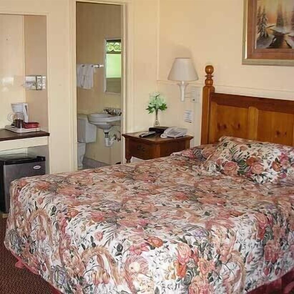 Jumping Frog Motel - photo 3