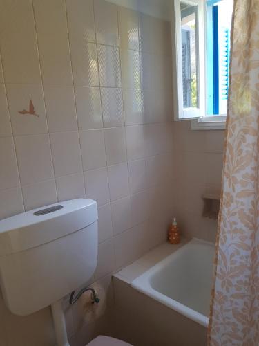 Panormos Nice studio with garden view — Kalymnos — photo 5
