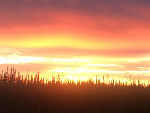 FireWeed RoadHouse - photo 12
