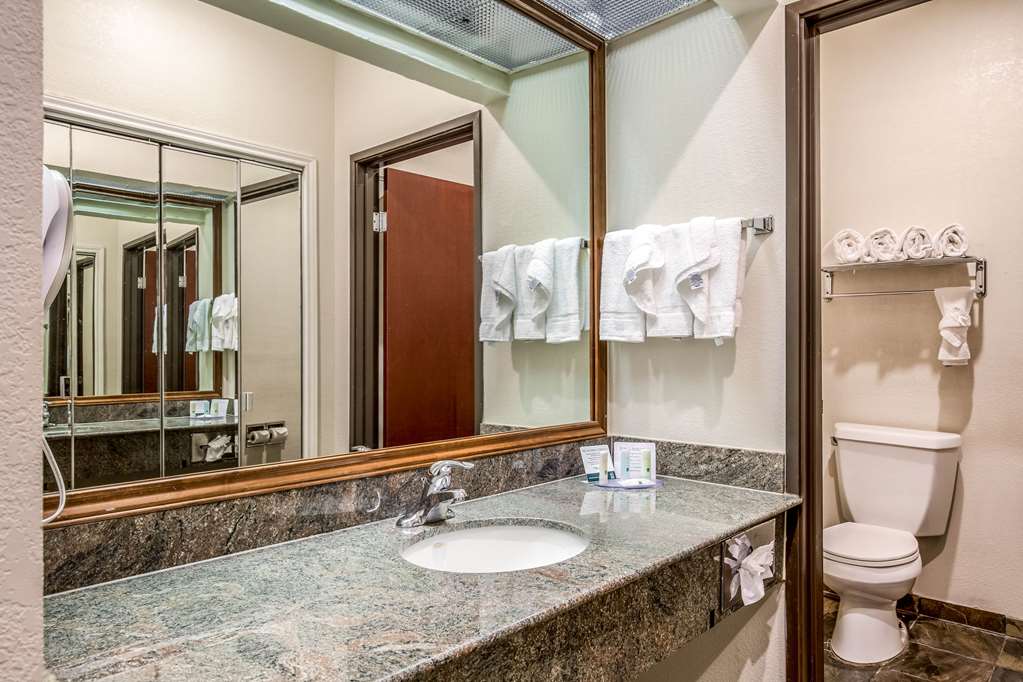 Quality Inn & Suites Seabrook NASA Kemah - photo 7