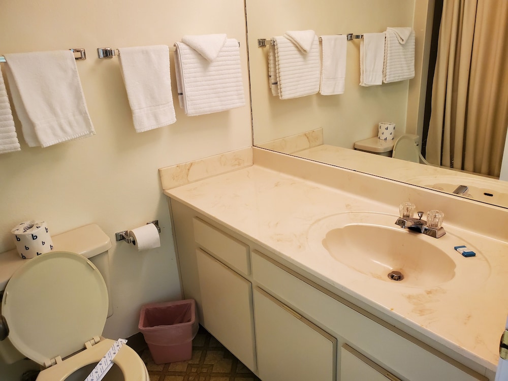South Shore Motel - photo 24