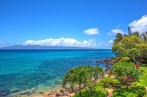 Kuleana Resort 417 - photo 27