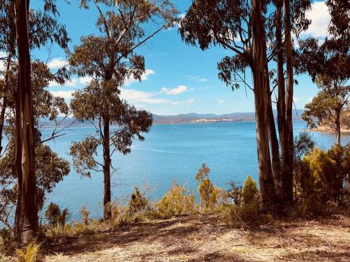 Hidden on Huon — Unknown City — photo 4
