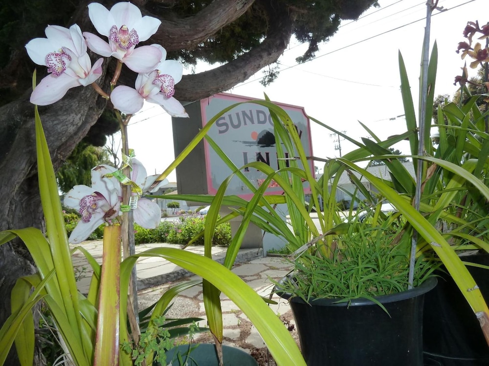 Sundown Inn - photo 42