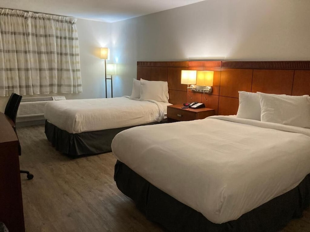 The Hotel Orange - photo 13
