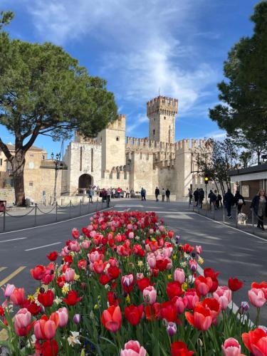 Alma Garda Home — 4-Star Luxury Hotel in Sirmione, Italy