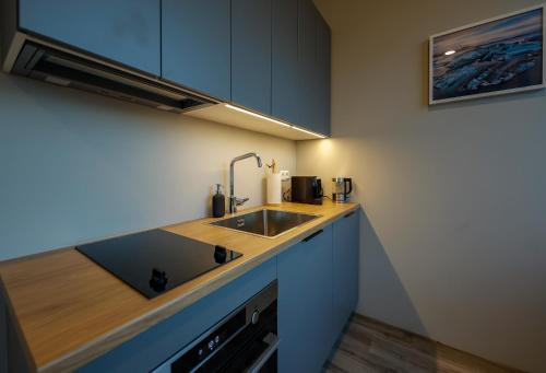 Center Apartments Esja