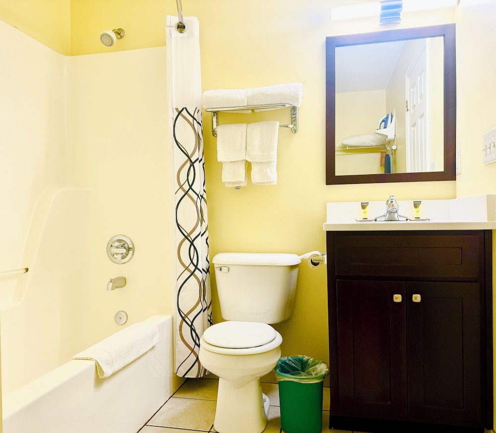 Classic Suites - photo 7
