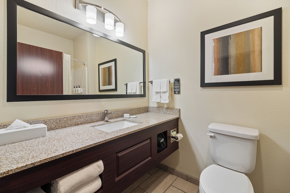 Cobblestone Hotel & Suites Alpine - photo 13