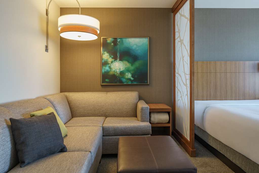 Hyatt Place Houston Galleria - photo 11