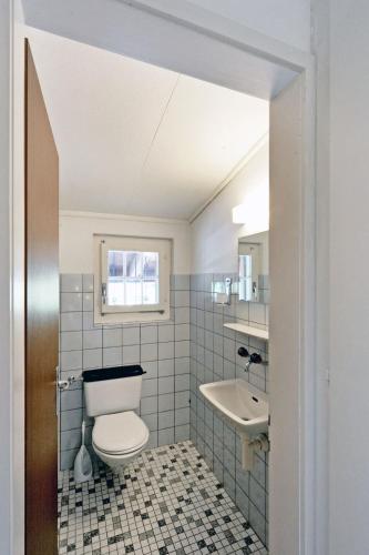 Lischmatte Inh 29134 — Lenk — photo 5