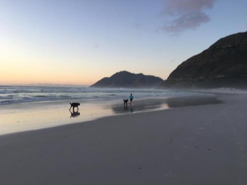 Selkie Two Restful Studio Apartments near Noordhoek Beach & Restaurants