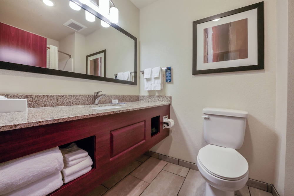Cobblestone Inn & Suites Boise City - photo 31