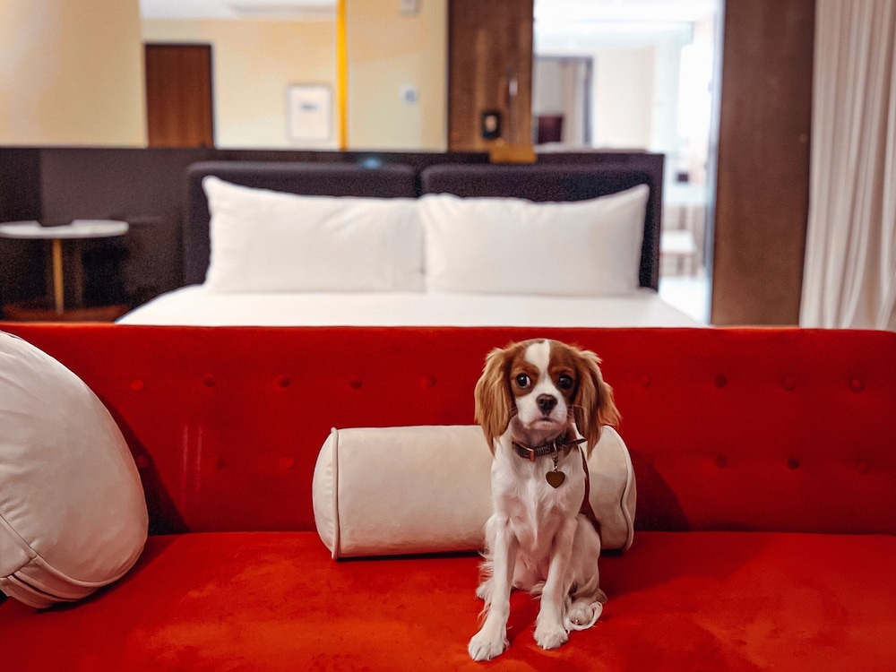 Hotel Haya - photo 48