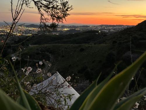 Glamping Finca El Olivo — Mijas