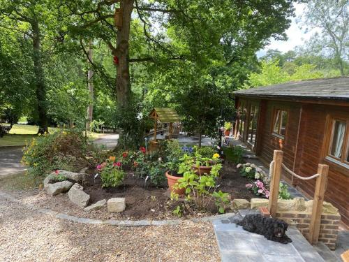 3 Bedroom Lodge Hotub pool in Horsley Surrey UK — 4-Star Luxury Hotel in East Horsley, United Kingdom