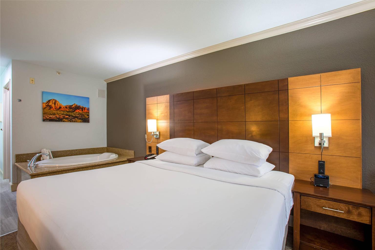 Arroyo Pinion Hotel an Ascend Collection Hotel - photo 49