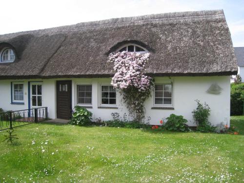 Ferienhaus Präkel - carbon neutral hotel in Unknown City