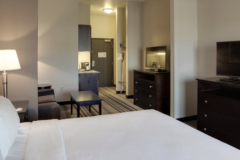 Holiday Inn Express & Suites Nevada by IHG - photo 29