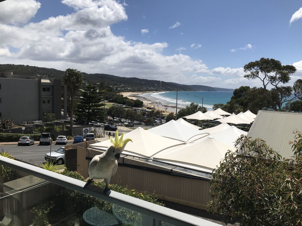 Just Beachy at Lorne - carbon neutral hotel in Lorne