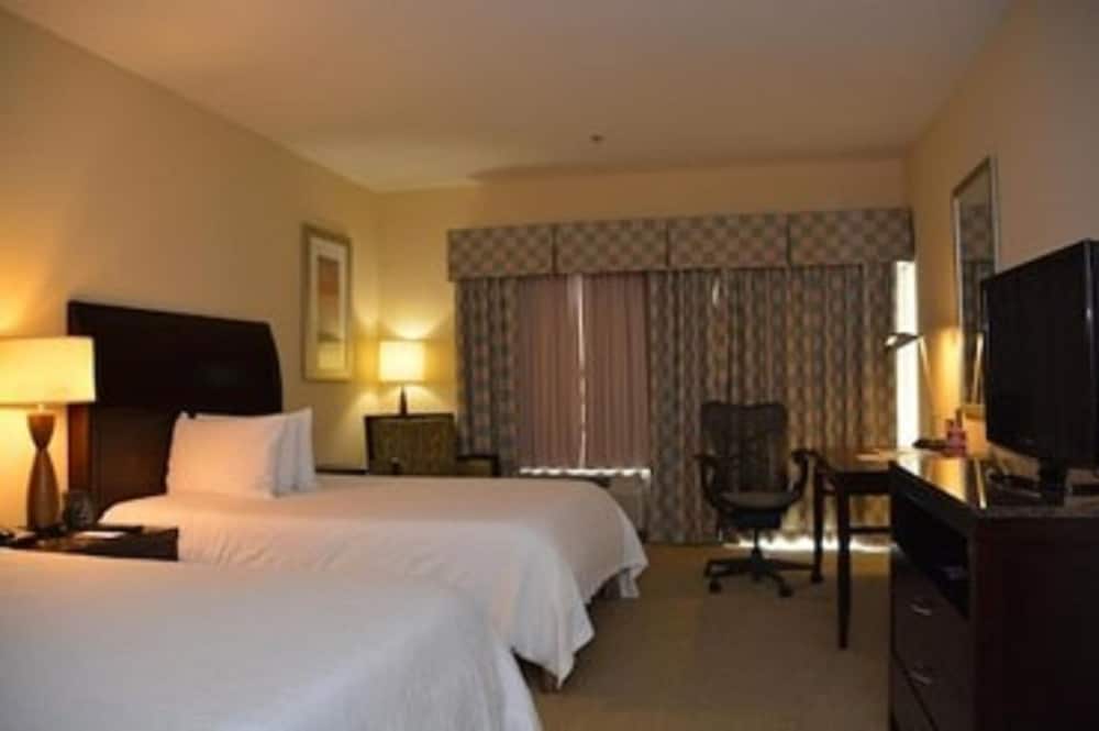 Hilton Garden Inn South Padre Island Beachfront - photo 10