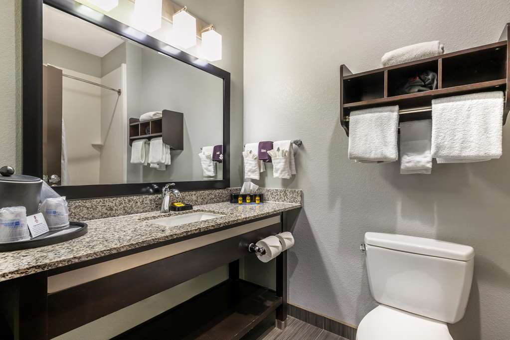 Best Western Plus Coweta's 1st Hotel - photo 26