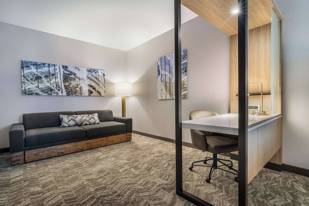 SpringHill Suites by Marriott Charleston Airport & Convention Center - photo 31