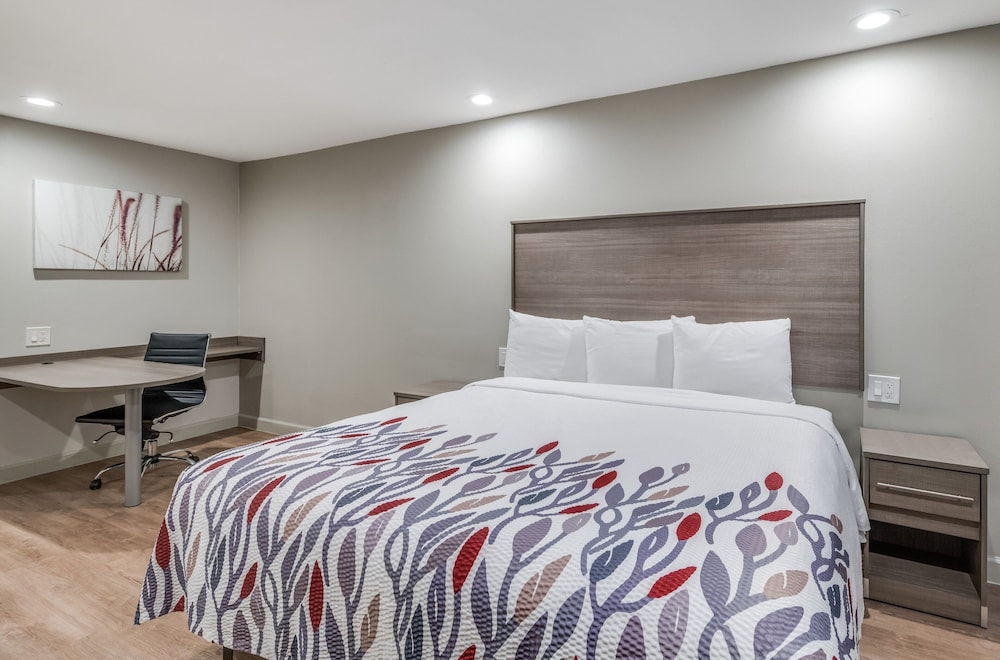 Red Roof Inn Lewisville - photo 18