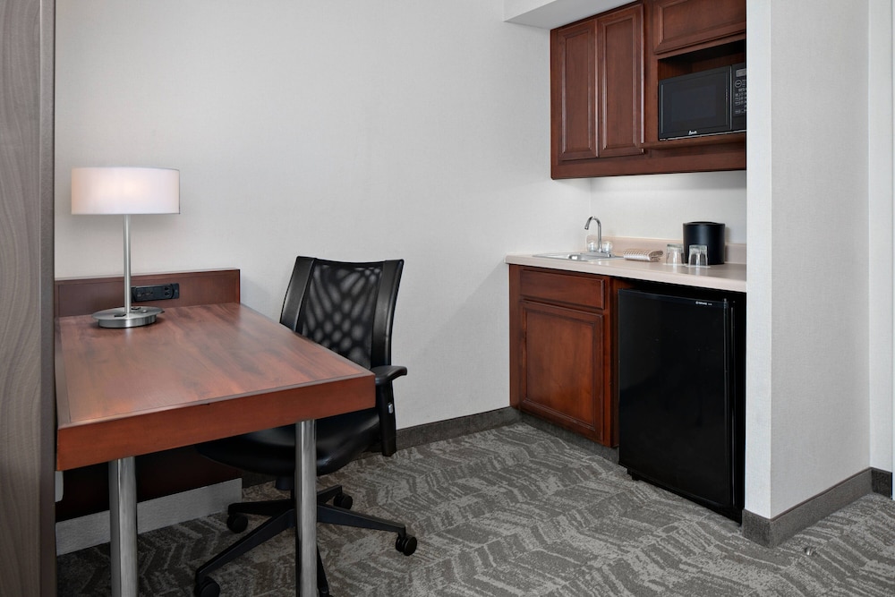 SpringHill Suites Chicago O'Hare by Marriott - photo 41