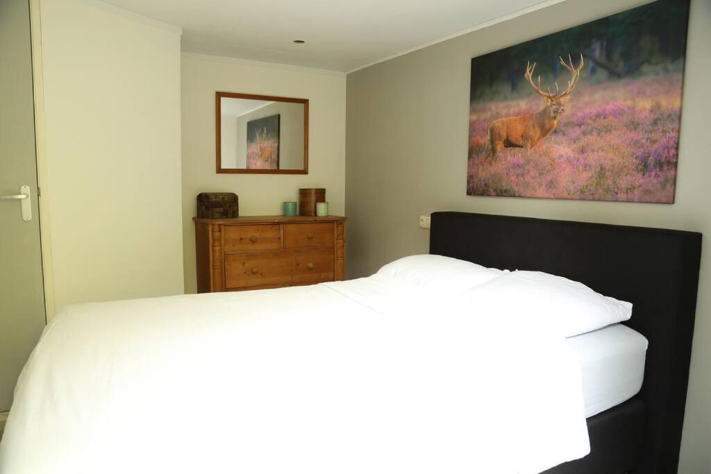 Vakantie chalet G5 Recreation only — 4-Star Luxury Hotel in Doornspijk, Netherlands
