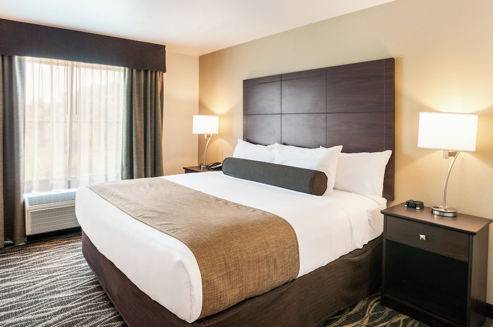 Cobblestone Hotel & Suites Appleton International Airport - photo 17