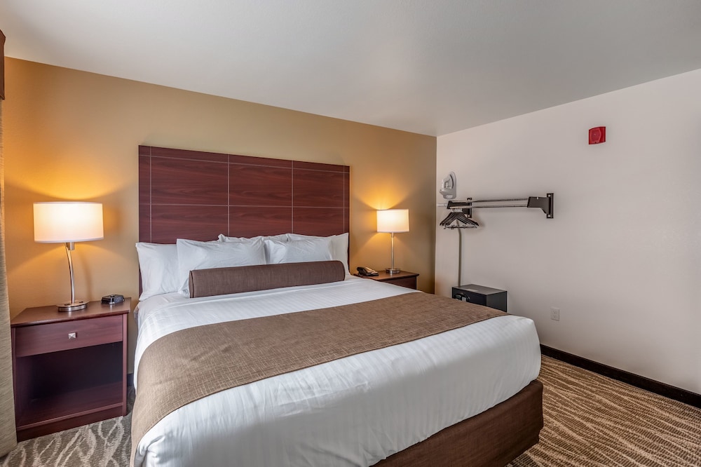 Cobblestone Inn & Suites Fairfield Bay - photo 7