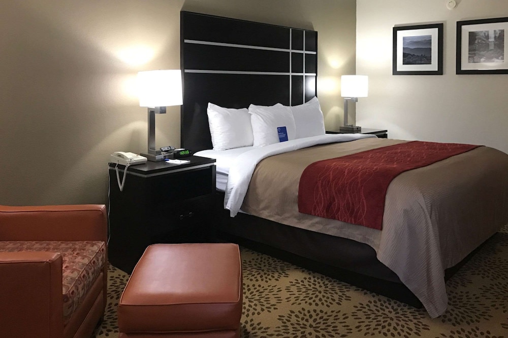 Comfort Inn North of Asheville - photo 24