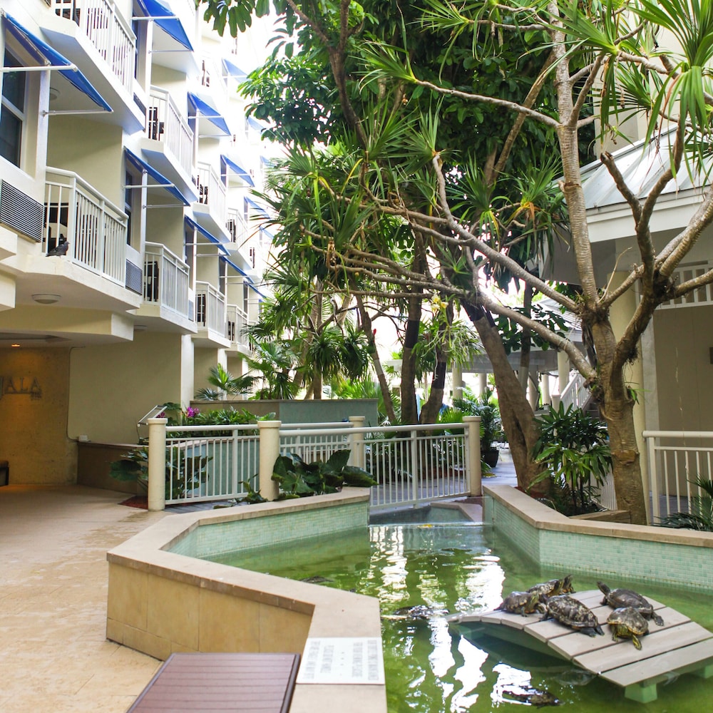 Hyatt Centric Key West Resort and Spa - photo 11