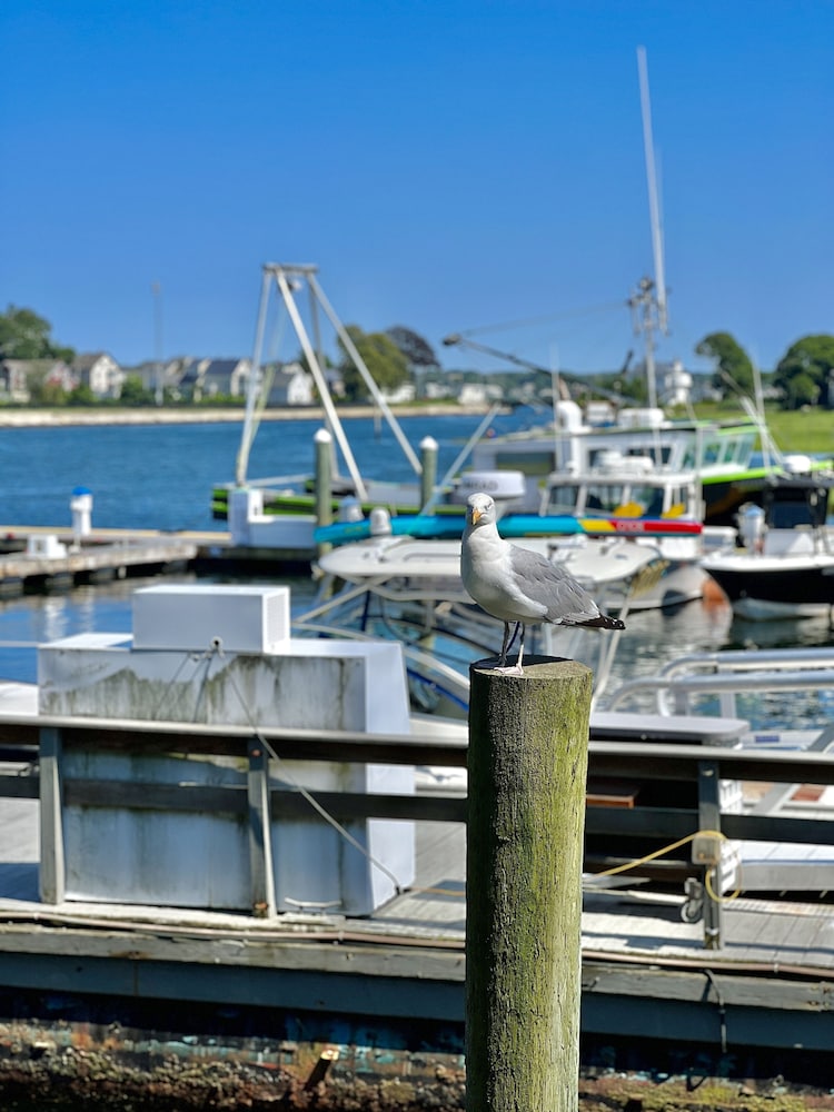 The Hotel at Cape Ann Marina - photo 128