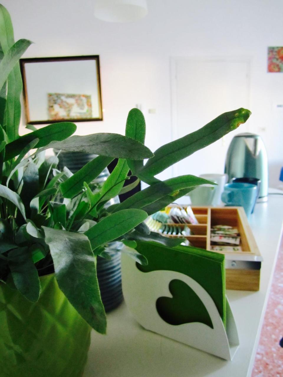 Le Stanze di Ninni in Foligno, Italy