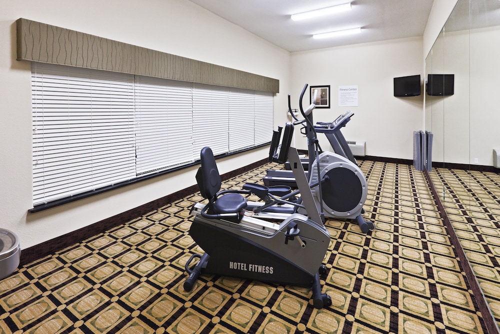 Holiday Inn Express Hotel & Suites Brownfield by IHG - photo 26
