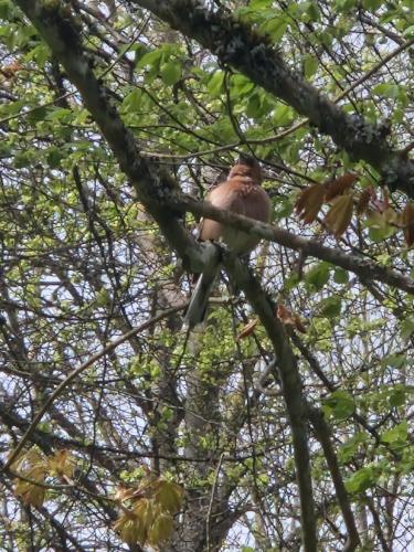 Valmiera Riverside Retreat Beverina Secret in Unknown City, Latvia