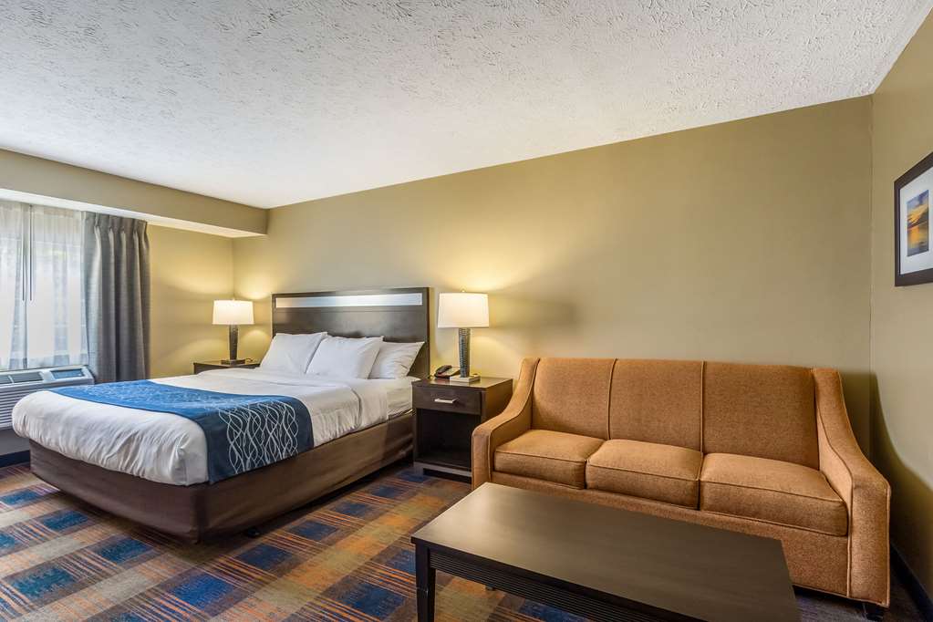 Comfort Inn Independence Cleveland - photo 21