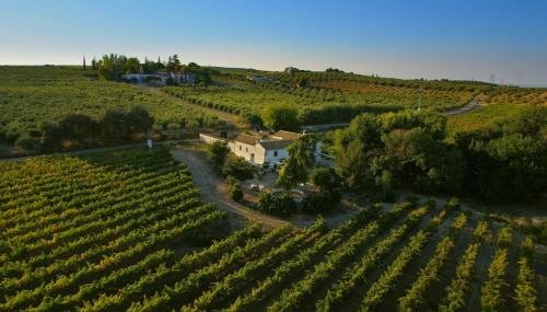 Elegant Villa in Montilla with Private Pool — 4-Star Luxury Hotel in Montilla, Spain