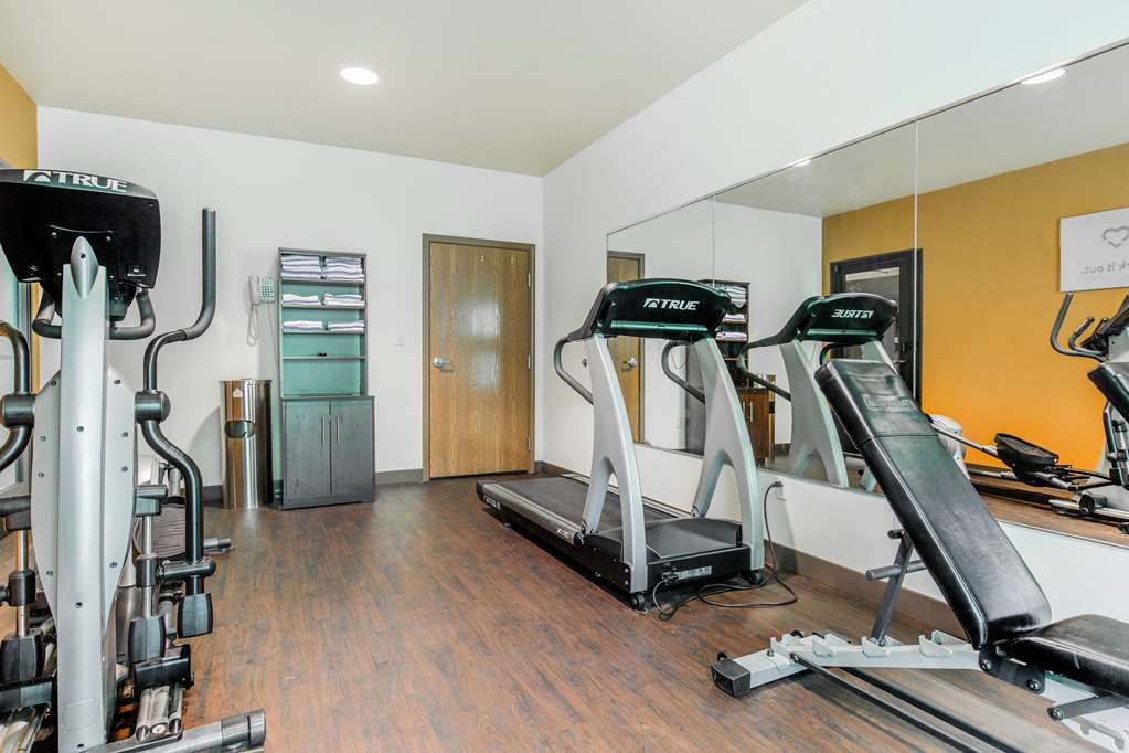 Comfort Suites Fairview Heights St. Louis - photo 12